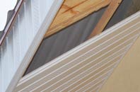 rated Weoley Castle soffit repair companies